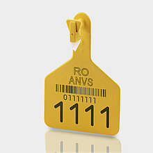 Marcatura laser su marchio auricolare di vacca | FOBA Laser Marking